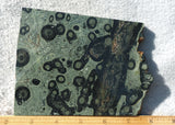 Kambaba Slab 57