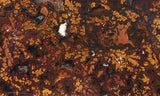 Curiosity Shop Rock Slab 413