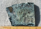 Oregon Moss Agate Rock Slab 95