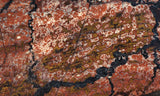 Curiosity Shop Rock Slab 403