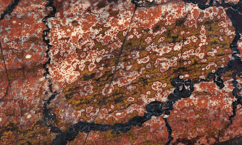 Curiosity Shop Rock Slab 403