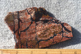 Curiosity Shop Rock Slab 403