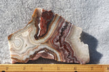Laguna Lace Agate Rock Slab 432