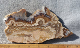 Curiosity Shop Rock Slab 400