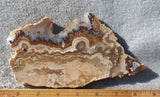 Curiosity Shop Rock Slab 400