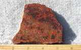 Morgan Hill Poppy Jasper Rock Slab 49