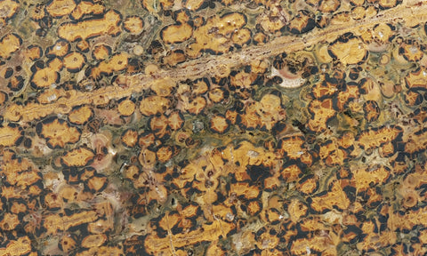 Leopard Skin Jasper Rock Slab 53