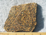 Leopard Skin Jasper Rock Slab 53