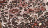 Leopard Skin Jasper Rock Slab 54