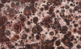 Leopard Skin Jasper Rock Slab 52
