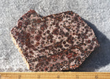 Leopard Skin Jasper Rock Slab 52