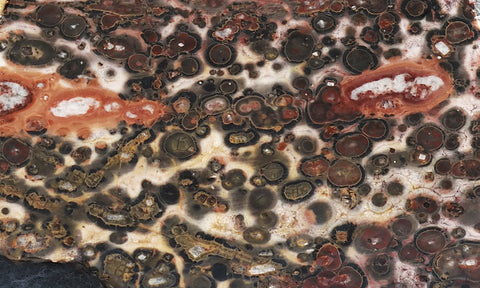 Leopard Skin Jasper Rock Slab 51