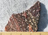Leopard Skin Jasper Rock Slab 51