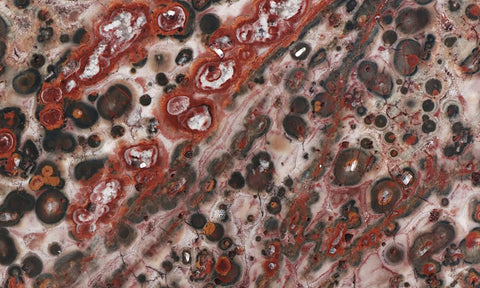 Leopard Skin Jasper Rock Slab 55
