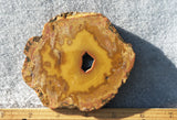 Curiosity Shop Rock Slab 426