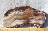 Mexican Crazy Lace Agate Rock Slab 407