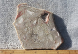 Bargain Bin E Slab 267