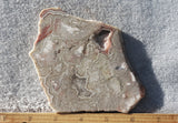 Bargain Bin E Slab 267