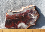 Mexican Crazy Lace Agate Rock Slab 423