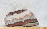 Prudent Man Agate Slab 97