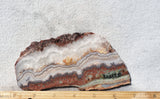 Prudent Man Agate Slab 97