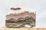 Prudent Man Agate Slab 92