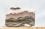 Prudent Man Agate Slab 92