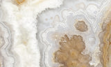 Prudent Man Agate Slab 93