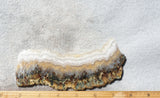 Prudent Man Agate Slab 96