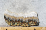 Prudent Man Agate Slab 98