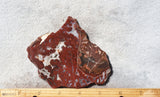 Paul Bunyan Agate Rock slab 10