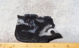 Curiosity Shop Rock Slab 432