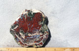 Red Lightning Agate Slab 30