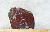 Red Lightning Agate Slab 24