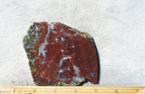 Red Lightning Agate Slab 24