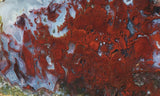 Red Lightning Agate Slab 26