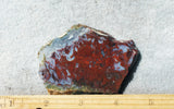 Red Lightning Agate Slab 26