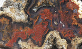 Reyes agate Rock slab 62