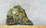 Rainforest Jasper Rock Slab 78