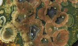 Rainforest Jasper Rock Slab 79