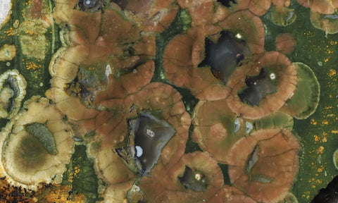 Rainforest Jasper Rock Slab 79