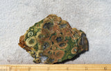 Rainforest Jasper Rock Slab 79