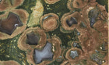 Rainforest Jasper Rock Slab 77