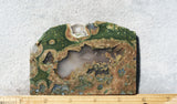 Rainforest Jasper Rock Slab 76