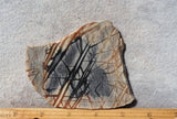 Picasso Stone Rock Slab 269