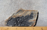 Picasso Stone Rock Slab 276
