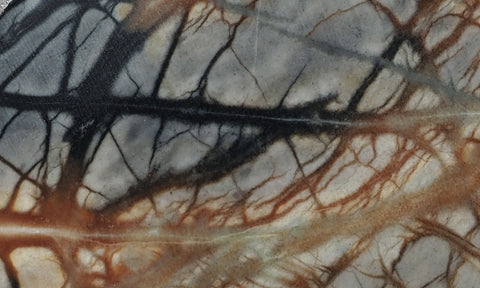 Picasso Stone Rock Slab 287