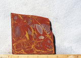 Noreena Jasper Rock Slab 282