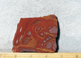 Noreena Jasper Rock Slab 284