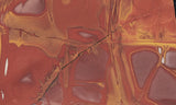 Noreena Jasper Rock Slab 283